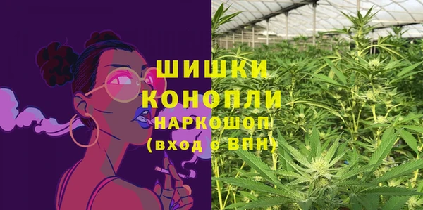 гидропоника Медногорск
